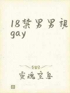 18禁男男视频gay