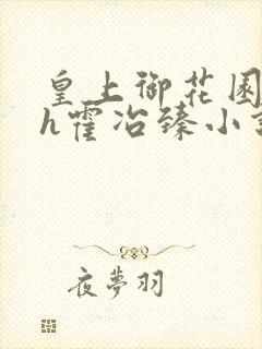 皇上御花园hlh霍冶臻小说