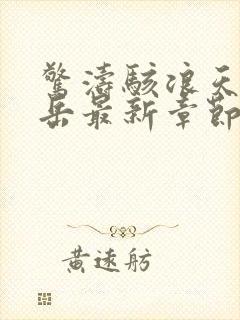 惊涛骇浪天下南岳最新章节