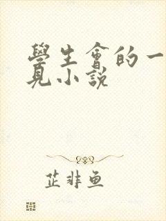 学生会的一己之见小说