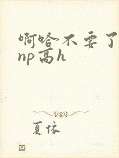 啊哈不要了男男np高h