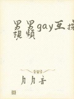 男男gay互操视频