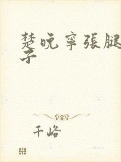 楚晚宁张腿放棋子