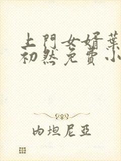 上门女婿叶辰萧初然免费小说