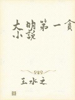 大明第一贪官 小说