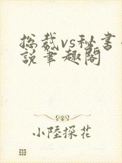 总裁vs秘书小说笔趣阁