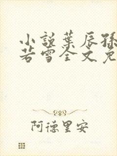 小说叶辰孙怡夏若雪全文免费阅读