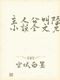 主人公叫陆沉的小说全文免费阅读