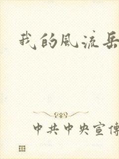 我的风流岳每封面