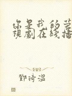 你是我的荣耀电视剧在线播放免费观