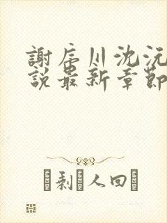 谢序川沈沅珠小说最新章节免费阅读