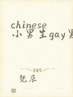 chinese小男生gay男男网站封面