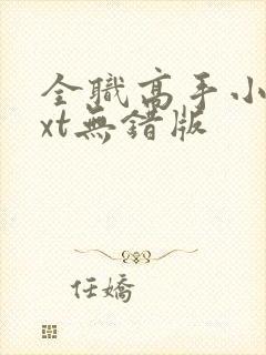 全职高手小说txt无错版