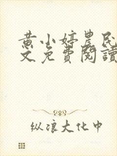 黄小婷农民工全文免费阅读笔趣阁封面