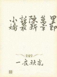 小说陈万里宋娇娇最新章节更新免费