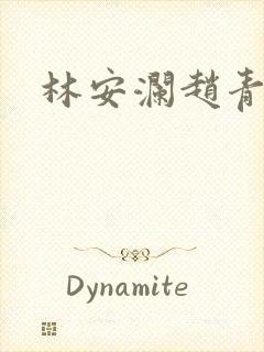 林安澜赵青小说