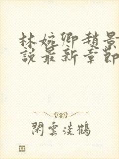 林婉卿赵景玄小说最新章节更新情况介绍详细封面