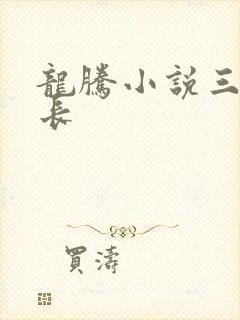 龙腾小说三宝局长
