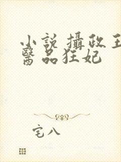 小说 摄政王的医品狂妃