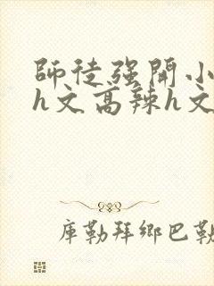 师徒强开小嫩苞h文高辣h文