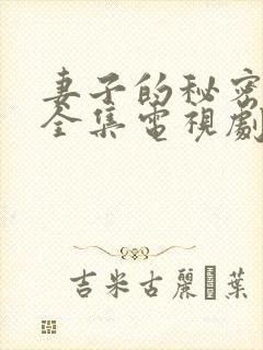 妻子的秘密在线全集电视剧