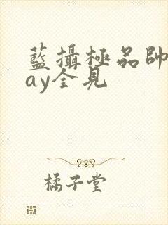 蓝摄极品帅男gay全见