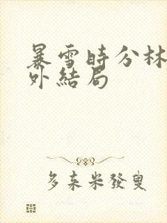 暴雪时分林霖番外结局封面