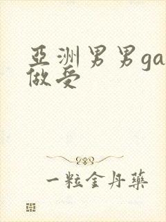 亚洲男男gay做受