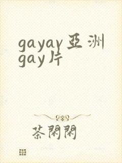 gayav亚洲gay片