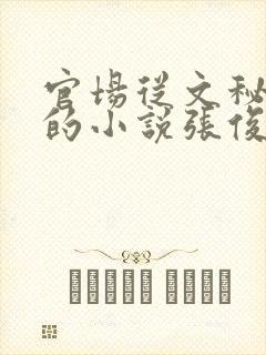 官场从文秘开始的小说张俊结局封面