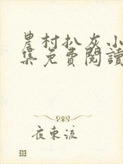 农村扒灰小说全集免费阅读封面