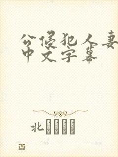 公侵犯人妻hd中文字幕