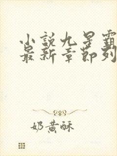 小说九星霸体诀最新章节列