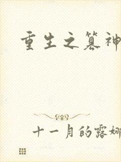 重生之篡神