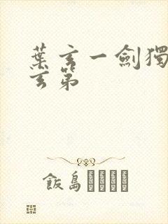 叶玄一剑独尊叶玄第