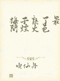 梅子熟了最食人间烟火色封面