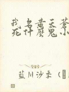 我名黄天苍天已死什么鬼小说笔趣阁无删减