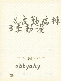 《夜勤病栋》第3季动漫