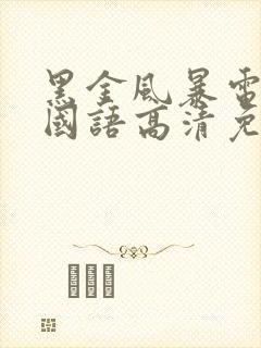 黑金风暴电视剧国语高清免费观看封面