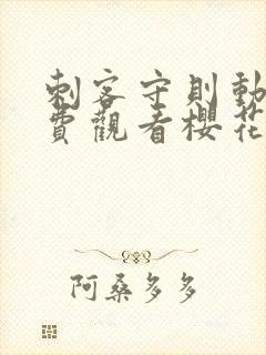 刺客守则动漫免费观看樱花动漫