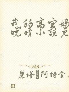 我的高官妈妈苏晚晴小说免费阅读