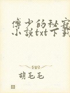 傅少的秘宠娇妻小说txt下载封面