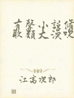 有声小说修真界败类大漠吹来的风