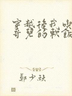 穿越后我吃到了哥儿的软饭炉山灰封面