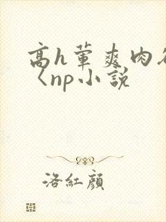 高h荤爽肉欲文〈np小说
