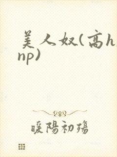 美人奴(高h,np)
