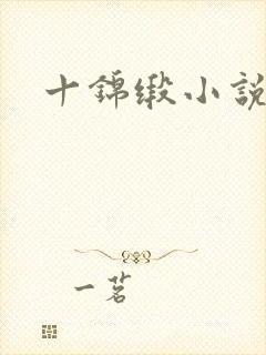 十锦缎小说