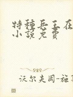 特种兵王在山村小说免费