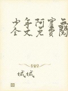 少年阿宾无删减全文免费阅读笔趣阁