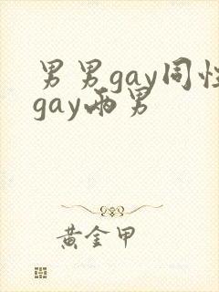 男男gay同性gay两男
